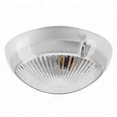 Настенно-потолочный светильник  ДПБ06-60-001 