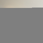 Настенный светильник Тринити CL238560 